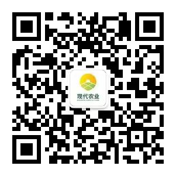 2025天天免费正版资料
